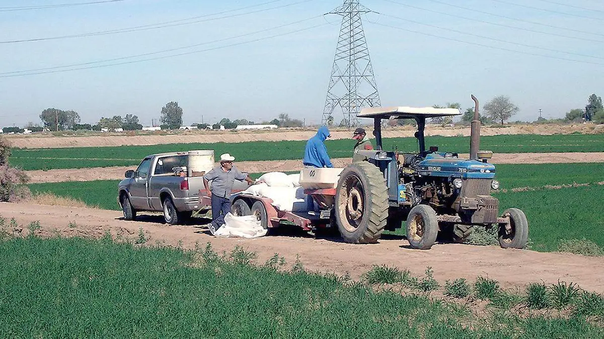 Labors en el campo